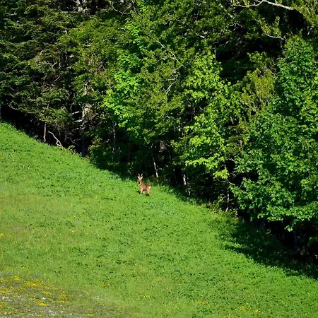 Val Lachard Szálloda Villard-de-Lans